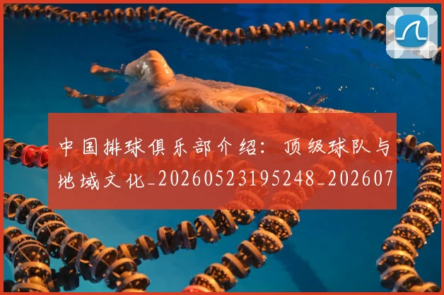 中国排球俱乐部介绍:顶级球队与地域文化_20260523195248_20260702201944
